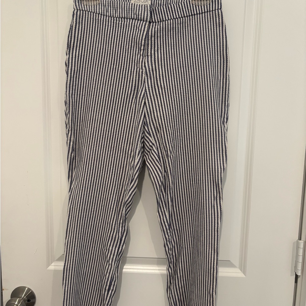 Striped Navy Blue and White Pants